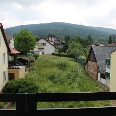 Rebstock * Sinzheim