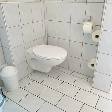Rebstock Sinzheim